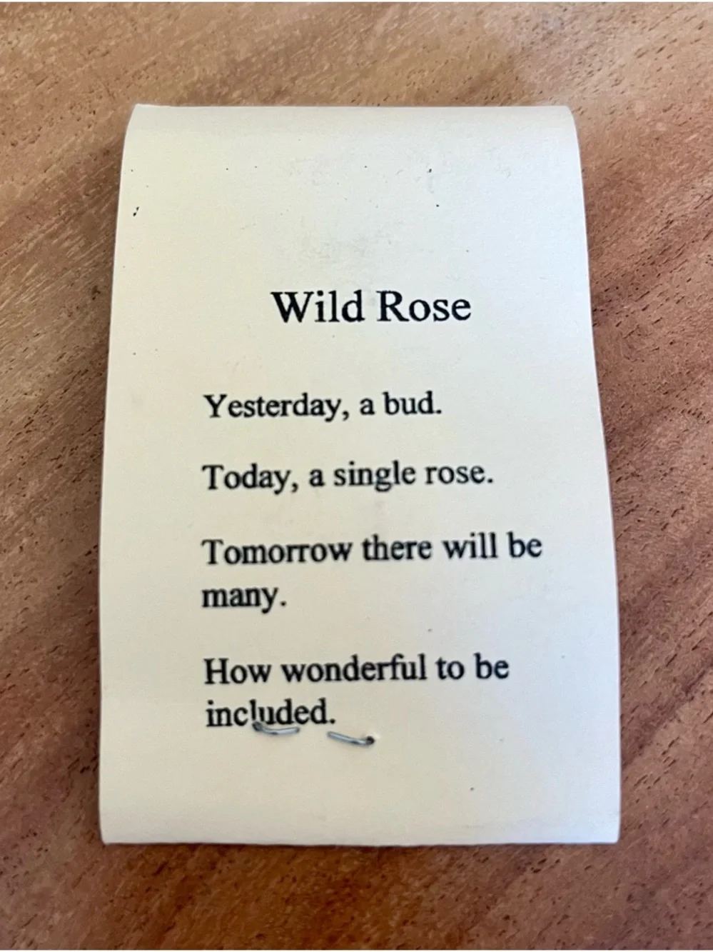 Alice Warder Seely My Wild Garden Floral Rose Pewter Pin